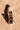 odissi_categories_flats_asset01_V2 | Odissì