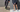 Banner_website | Odissì